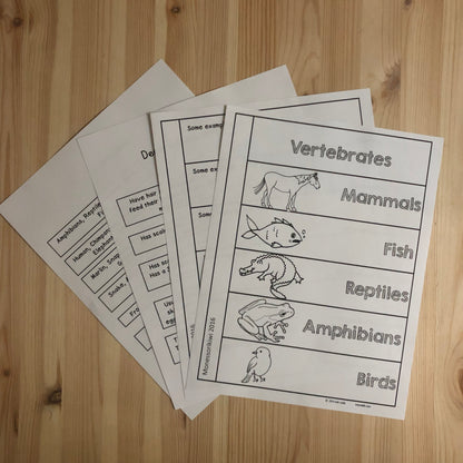 Vertebrate Book - montessorikiwi
