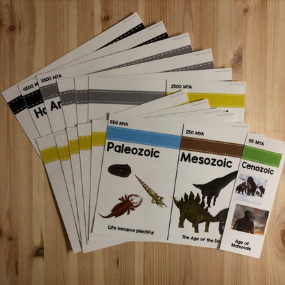 Clock of Eras Support Material Bundle - montessorikiwi