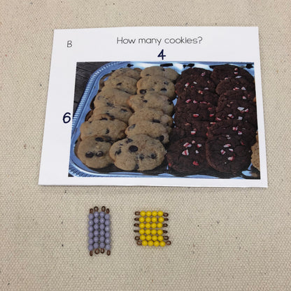 Montessori Arrays, skip counting, (colored bead bars) - montessorikiwi
