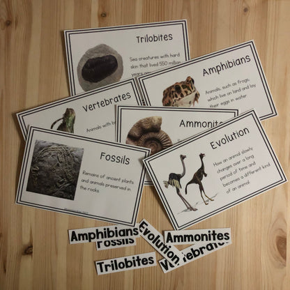 Vocab words for Second Great Story (cosmic) - montessorikiwi