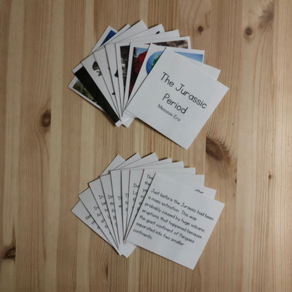 Make a Museum Exhibit: PBL Unit Resources Bundle - montessorikiwi