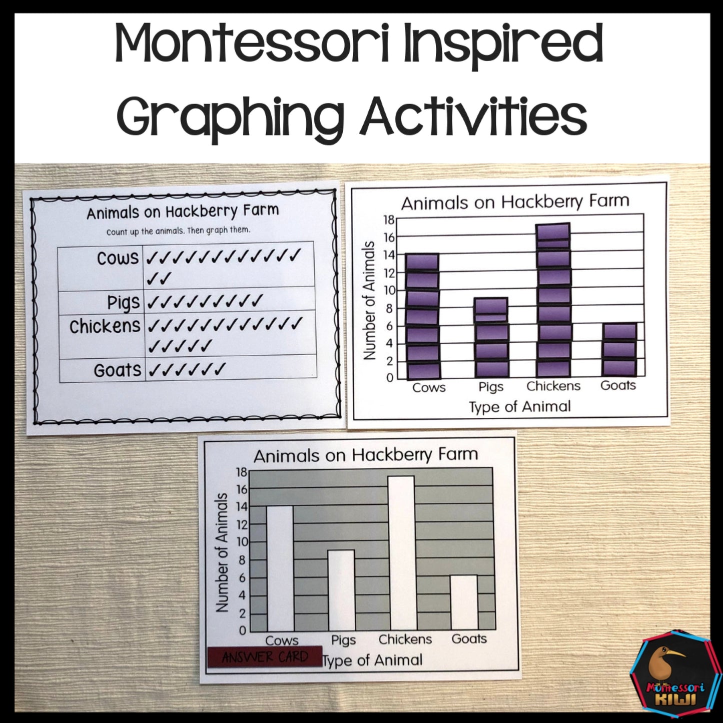 Self Correcting independent Graphing activities - montessorikiwi