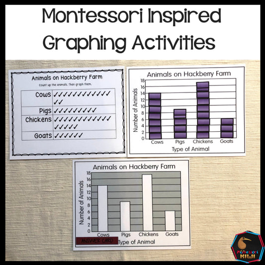 Self Correcting independent Graphing activities - montessorikiwi