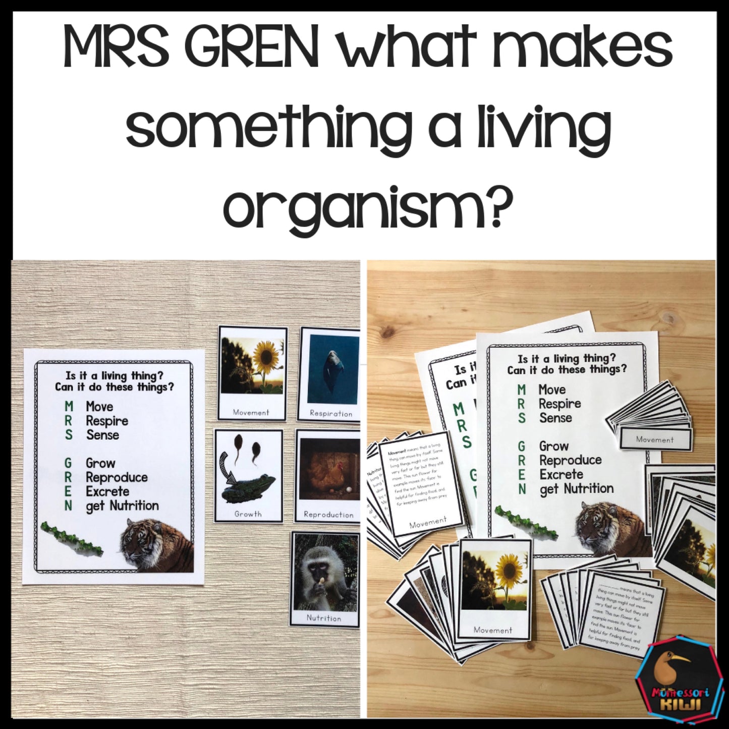 MRS GREN what makes something a living organism? - montessorikiwi