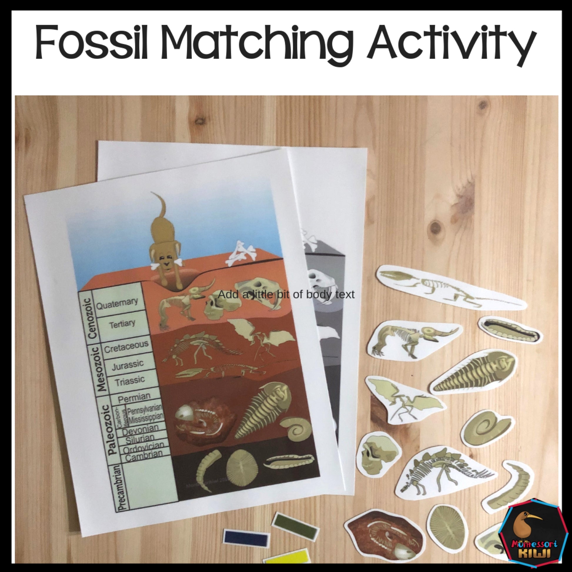 Fossil Matching Activity (cosmic) - montessorikiwi