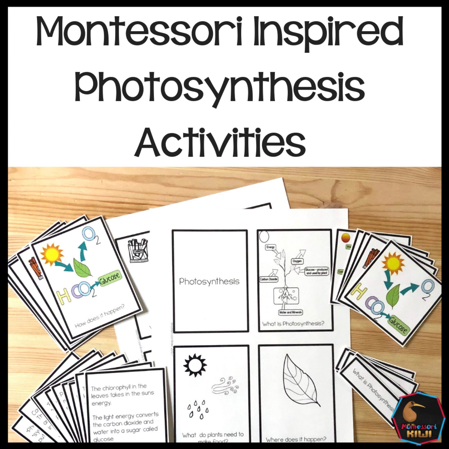 Photosynthesis Montessori Inspired activity - montessorikiwi