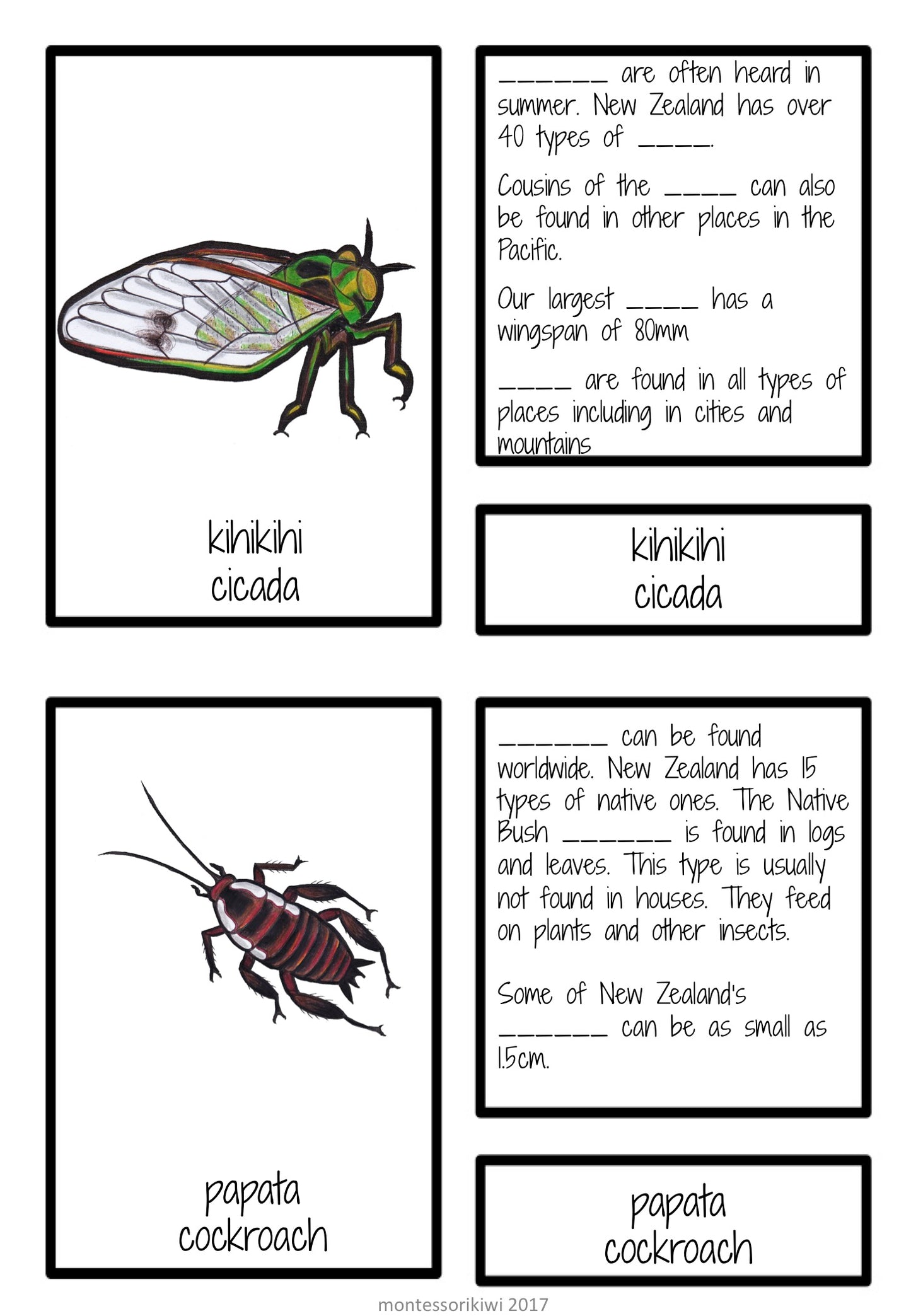 New Zealand invertebrate facts (Montessori inspired) - montessorikiwi