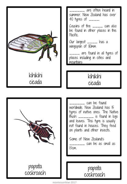 New Zealand invertebrate facts (Montessori inspired) - montessorikiwi