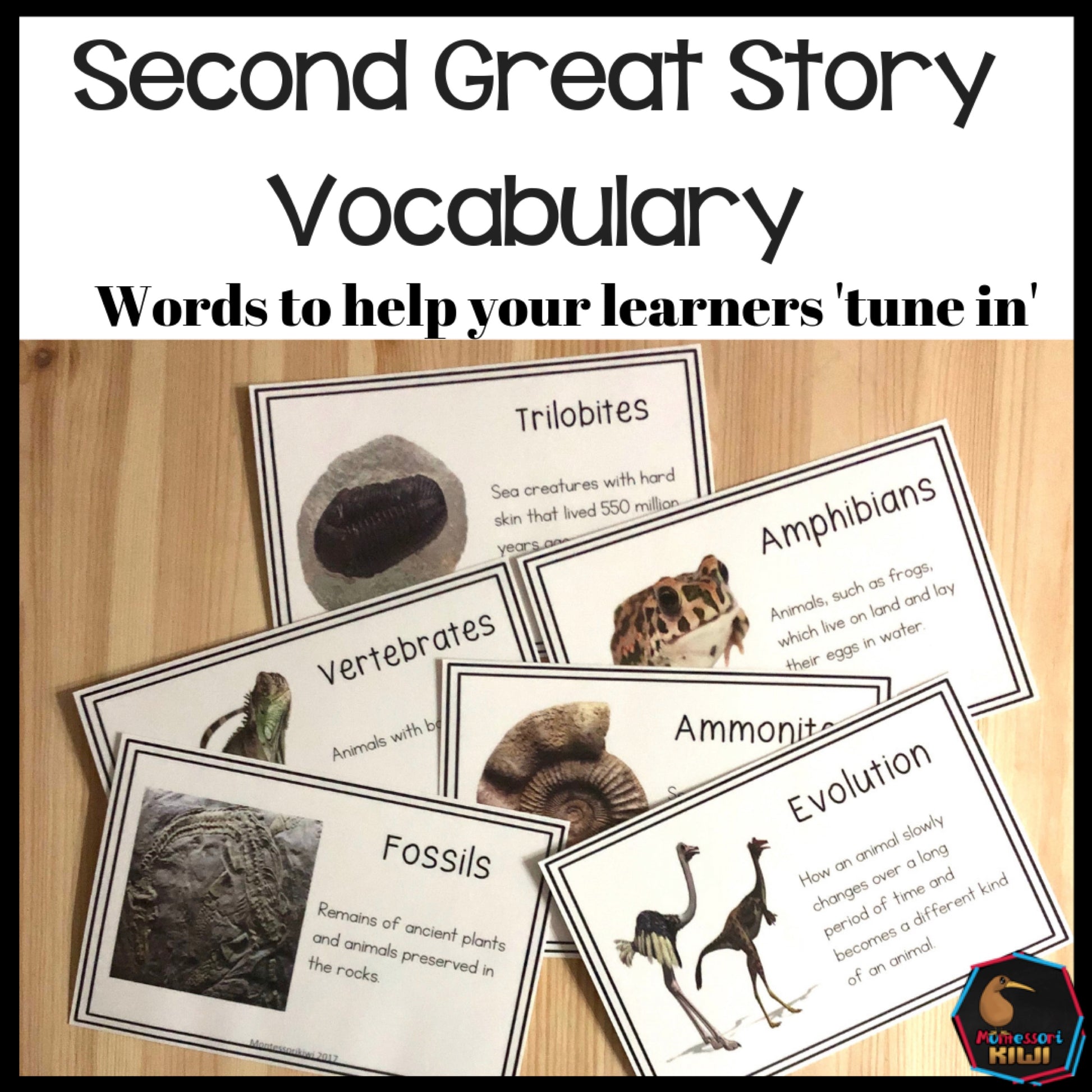 Vocab words for Second Great Story (cosmic) - montessorikiwi