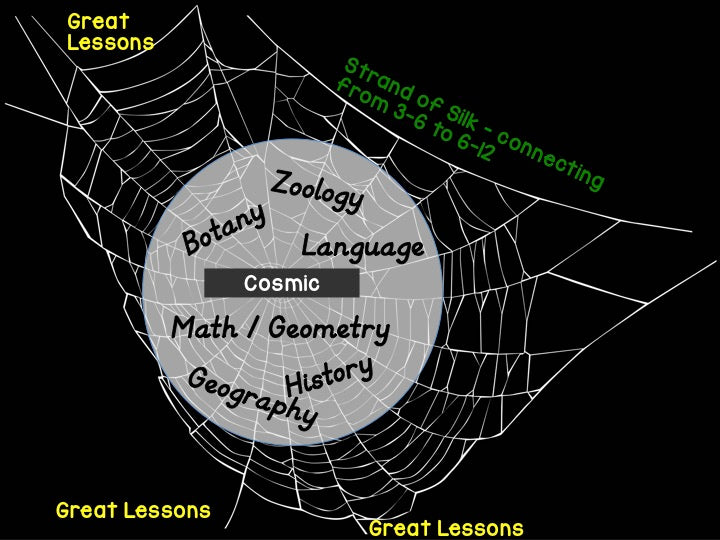 Elementary Boot Camp: I've given the Great Lessons now what? - montessorikiwi