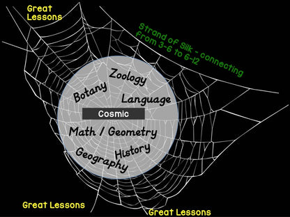 Elementary Boot Camp: I've given the Great Lessons now what? - montessorikiwi