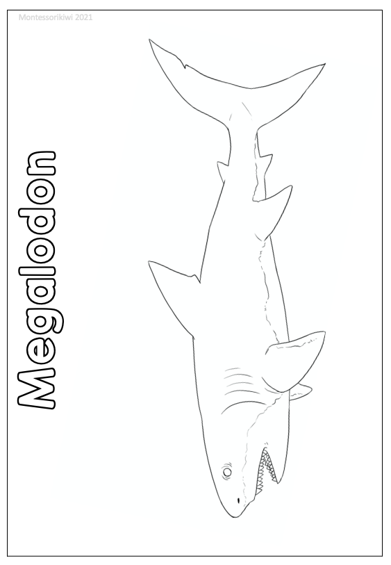 Early life coloring pages (cosmic) - montessorikiwi
