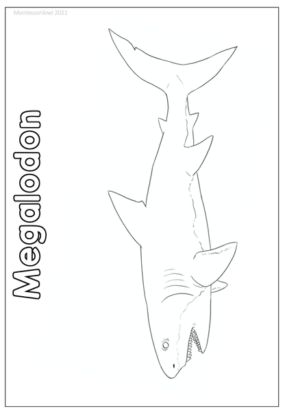 Early life coloring pages (cosmic) - montessorikiwi