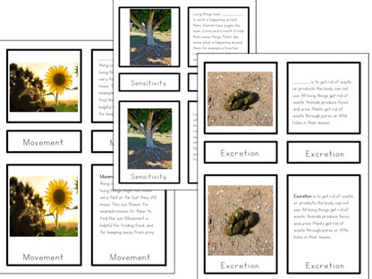 MRS GREN what makes something a living organism? - montessorikiwi