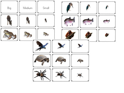 Animal themed math sorting - montessorikiwi