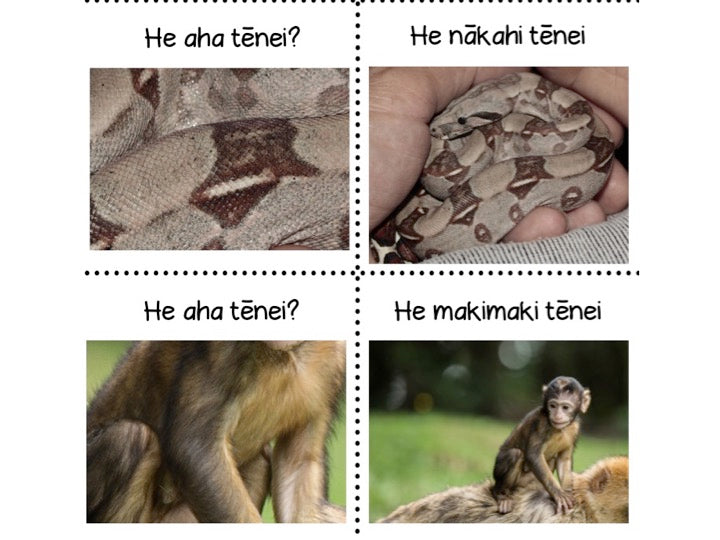 Māori Animal Game - montessorikiwi