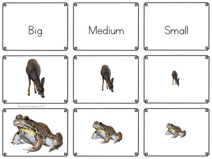 Animal themed math sorting - montessorikiwi
