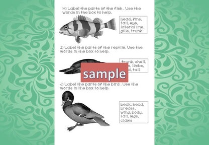 Zoology Test for Assessment - montessorikiwi
