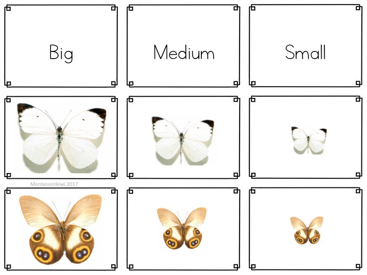 Butterfly Spring Themed Math Sorting - montessorikiwi