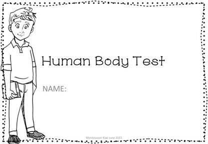 Montessori Human Body test for assessment - montessorikiwi