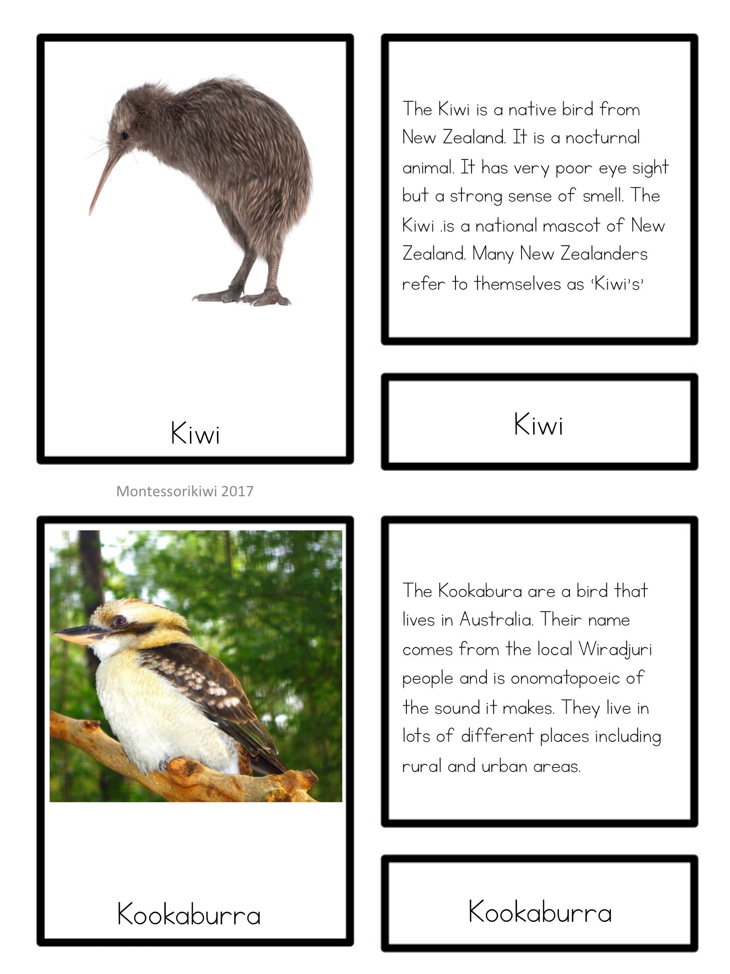Oceania animals - montessorikiwi