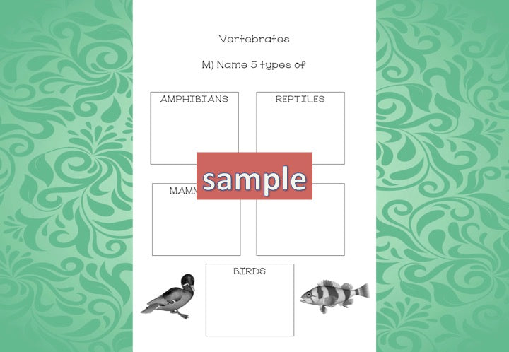 Zoology Test for Assessment - montessorikiwi