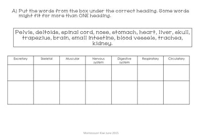Montessori Human Body test for assessment - montessorikiwi