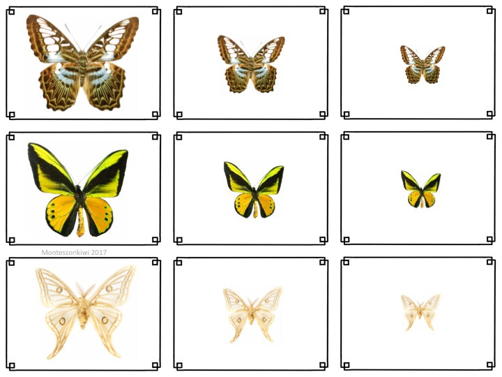 Butterfly Spring Themed Math Sorting - montessorikiwi