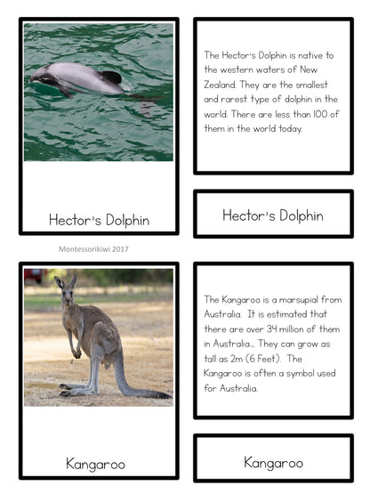 Oceania animals - montessorikiwi