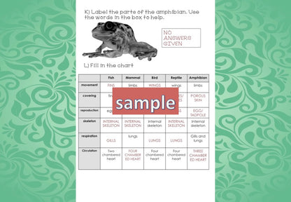 Zoology Test for Assessment - montessorikiwi