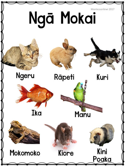 Maori Animal Posters x 4 - montessorikiwi