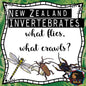 New Zealand Invertebrates - flies or crawls - montessorikiwi