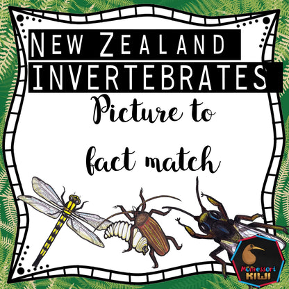 New Zealand invertebrate facts (Montessori inspired) - montessorikiwi