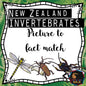 New Zealand invertebrate facts (Montessori inspired) - montessorikiwi