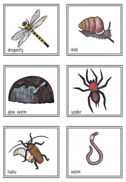 New Zealand Invertebrates - flies or crawls - montessorikiwi
