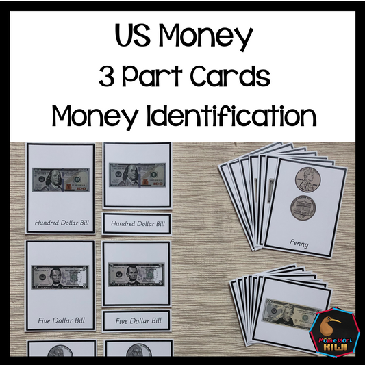 US Money Montessori Three Part Cards (money identification) - montessorikiwi
