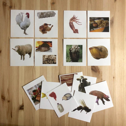 Animals and their products (food products and uses) - montessorikiwi