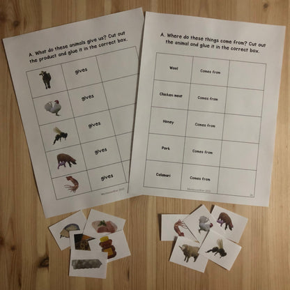 Plants and animals uses and resources bundle - montessorikiwi