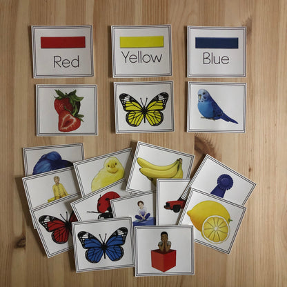 Color Sorts - montessorikiwi