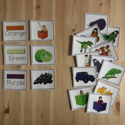 Color Sorts - montessorikiwi