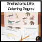 Early life coloring pages (cosmic) - montessorikiwi