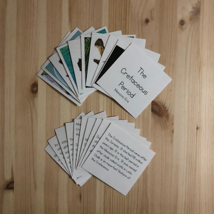 Make a Museum Exhibit: PBL Unit Resources Bundle - montessorikiwi