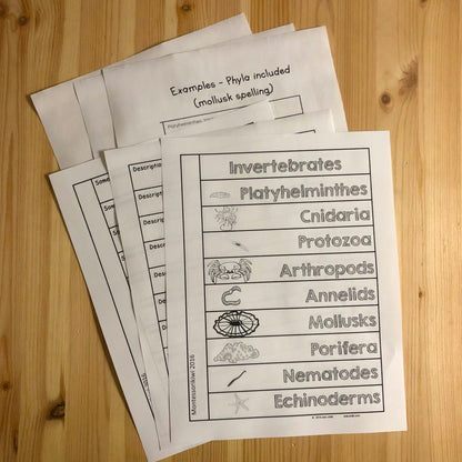 Invertebrate Book - montessorikiwi