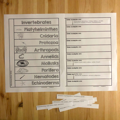 Invertebrate Book - montessorikiwi