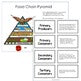Trophic Pyramid: herbivores, omnivores and carnivores - montessorikiwi