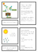 Photosynthesis Montessori Inspired activity - montessorikiwi