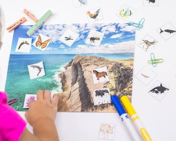 Air Land Water Montessori sorting (animals) - montessorikiwi