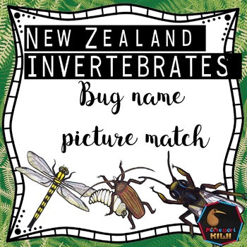 NZ bug names match up - montessorikiwi