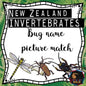 NZ bug names match up - montessorikiwi