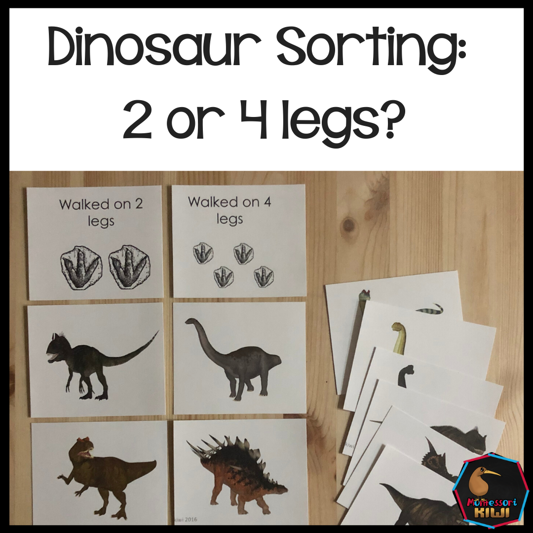 Dinosaur Sorting 2 legs or 4? - montessorikiwi